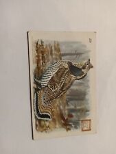 Vintage Church & Dwight's Soda Birds Series 4 Card No 29 Ruffed Grouse picture