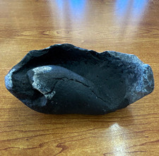 Whale Inner Ear bone fossil picture