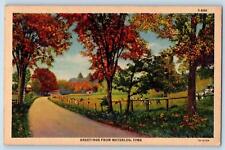 Waterloo Iowa Postcard Greetings Country Road Cows Scenic View c1940's Vintage picture