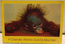 Humorous Postcard BABY ORANGUTAN, Chandler, Arizona, Sure Do Miss Yah picture