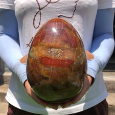 6.6LB Natural wood fossil Quartz Crystal egg Mineral specimen Healing picture