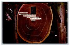 Postcard 1930 Tree Cut Down Rings 1776, 1492, Magna Carta Unposted 1965 picture
