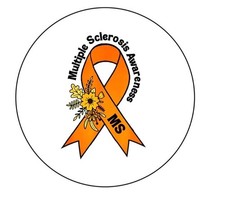 Multiple Sclerosis Awareness MS   2.25”  Pinback Button Pin Badge picture