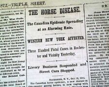 1872 HORSE FLU Equine Influenza A Epizootic Epidemic Disease Outbreak Newspaper  picture