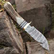 Handmade Forged Damascus Steel Gut Hook Hunting Knife EDC With Original Stag picture