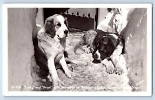 Oregon OR Postcard RPPC Photo Lady And Bruel St. Bernards At Timberland Lodge picture