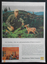 1956 Aldo Leopold forester author wildlife deer art AD Weyerhaeuser Timber CO WA picture