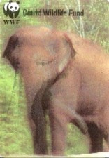 ENDANGERED SPECIES LENTICULAR PROMO CARD #7 ASIAN ELEPHANT JOHNSON & OHNSON 1997 picture