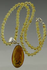 Fossil SPIDER & FLY BALTIC AMBER Silver Pendant Round Bead Necklace 12.2g p110-7 picture