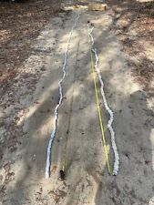 Fulgurite 23 ft+ and 19ft+  (We believe we have the longest in the World) picture