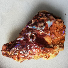Nice 60.70CT  Australia Queensland Boulder Opalised Wood Fossil picture