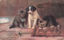 Artist Signed B Cobbe What Is It Kittens Terrier Puppy & Pipe Tuck Postcard 1906 picture