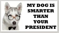 MY DOG IS SMARTER THAN YOUR PRESIDENT bumper sticker decal republican anti-biden picture
