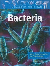 Bacteria: Staph, Strep, Clostridium, and Other Bacteria (A Class of The - GOOD picture