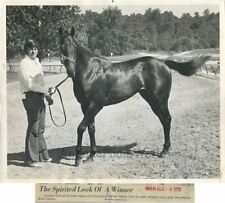 Trainer with beautiful race horse vintage photo picture