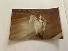 Vintage c.1960 Descendant Of Dan Patch Horse Color Photograph picture