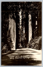 RPPC Redwood Highway Gods Gift to Man CA Postcard Unused picture
