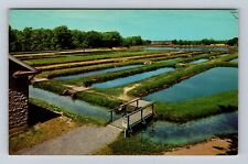 Huntsdale PA-Pennsylvania, State's Fish Hatchery, Antique Vintage Postcard picture