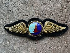1940s Eastern Airlines pilot wings Enamel in Bullion wool felt Gold Embroidered picture