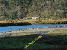 Photo 12x8 Ducks by the Mawddach Penmaenpool A line of ducks lap up the su c2015 picture