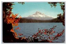 Parkdale, OR Oregon, Union Oil, Mt. Hood, 11,245 ft, Vintage Chrome Postcard  picture