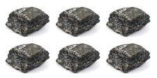 6PK Biotite Gneiss Rock Specimens, 1
