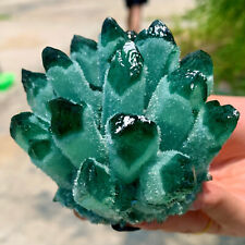 335G New Find green  PhantomQuartz Crystal Cluster MineralSpecimen 708 picture