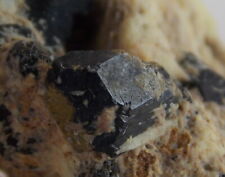 PEROVSKITE and MAGNETITE CRYSTALS - 3.9 cm - MAGNET COVE, ARKANSAS 27739 picture