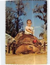 Postcard Little Boy Riding on Huge Galapagos Tortoise Florida's Silver Springs picture
