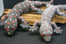 Rubber Gecko Fake Riptide Animal Kid Toy Lure Bait Garden Prank Home Decor 2X picture