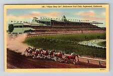 Inglewood CA-California, Turf Club, Horse Race, Vintage Postcard picture