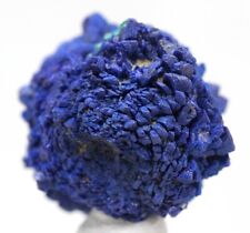 AZURITE MALACHITE DEEP BLUE Specimen Crystal Cluster Mineral Gemmy UTAH picture