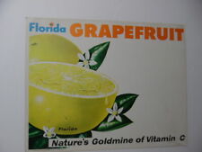 c.1959 Florida Grapefruit Sign Nature's Goldmine of Vintage C Atomic Age Vintage picture