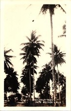 Real Photo Papua NEW GUINEA Island Vital Resource During World War II Postcard picture
