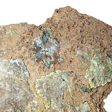495g Scordite Köttigite Kottigite Crystal Cluster Ojuela Mine Mineral Rare picture