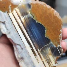 288g Richardson Ranch Opal Bed Blue Agate Thunderegg Half - UNPOLISHED Display picture