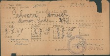 1948 IRO DP CAMP VACCINATION CARD HOLOCAUST SURVIVOR MUNICH ROMANIA REFUGEE picture