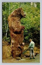 Klamath CA-California, Mother Bear & Cub, Shrine of Redwood Hwy Vintage Postcard picture