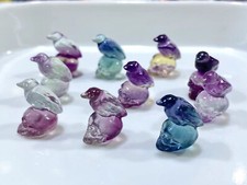 5pc Natural fluorite carved mini bird skull quartz crystal reiki healing decor picture