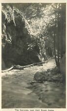 Postcard RPPC California The Narrows Cold Brook Camp 23-1917 picture
