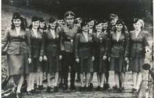 WW II German   Photo ---  Concentration Camp Female Guards  picture