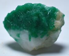 44 CT Well Terminated Natural Green Emerald Crystals Bunch On Quartz Specimen picture