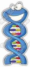 DNA Biology Genetic Molecule Smiling Funny Car Bumper Vinyl Sticker Decal 3"X7" picture
