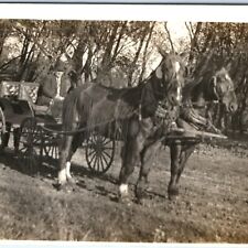 1900s Old Man Fancy Horse Carriage RPPC Wagon Real Photo Estherville Cancel A135 picture