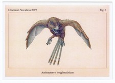 2019 Dinosaur Extinct animal bird Scansoriopteryx Paleontology Fossil postcard 6 picture