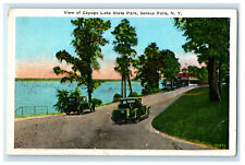 1924 View of Cayuga Lake State Park, Seneca Falls New York NY Postcard picture