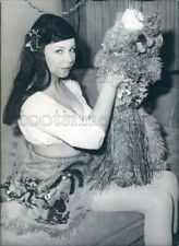 1966 Press Photo Lovely Actress Britt Lindberg With Her Poodle Dog picture