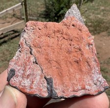 ☘️RR⛏️: Colorful Triassic Fossil Scute From Northeast AZ. 3.5 Oz. 🦖 picture