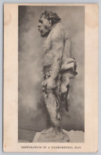 Restoration Of A Neanderthal Man Natural History Museum Vintage Postcard Cave picture