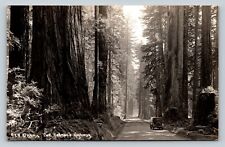RPPC Redwood Highway Classic Vehicle Dirt Road VINTAGE Postcard EKKP 1904-1950 picture